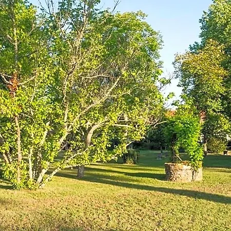 Bed & Breakfast Park